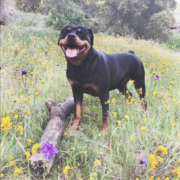 ABOUT VP-THREADS 🌵 - Picture 8 of 8